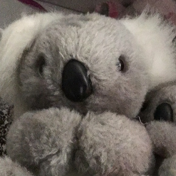 Meet your Posher, Liat - Picture 1 of 1